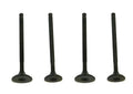 WSM Engine Valve Kit for Honda TRX 400 / 500 (1999–2011) - 017-025