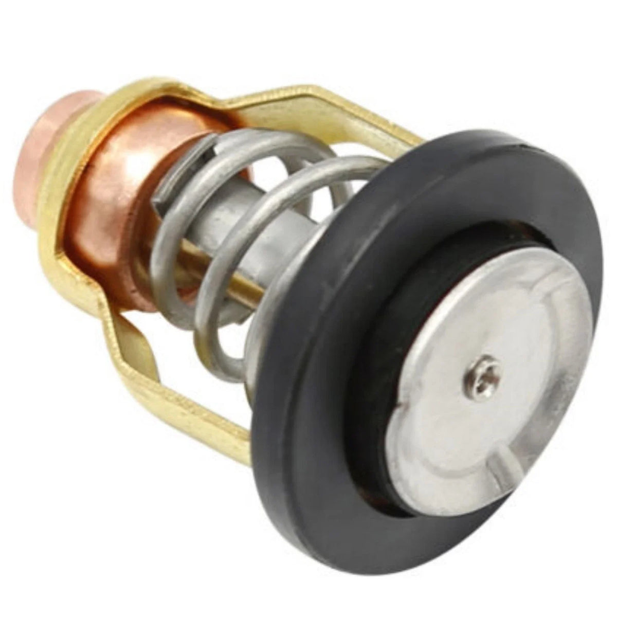 Thermostat for Yamaha Outboard Motor F75 F80 F90 F150 (67F-12411-01)