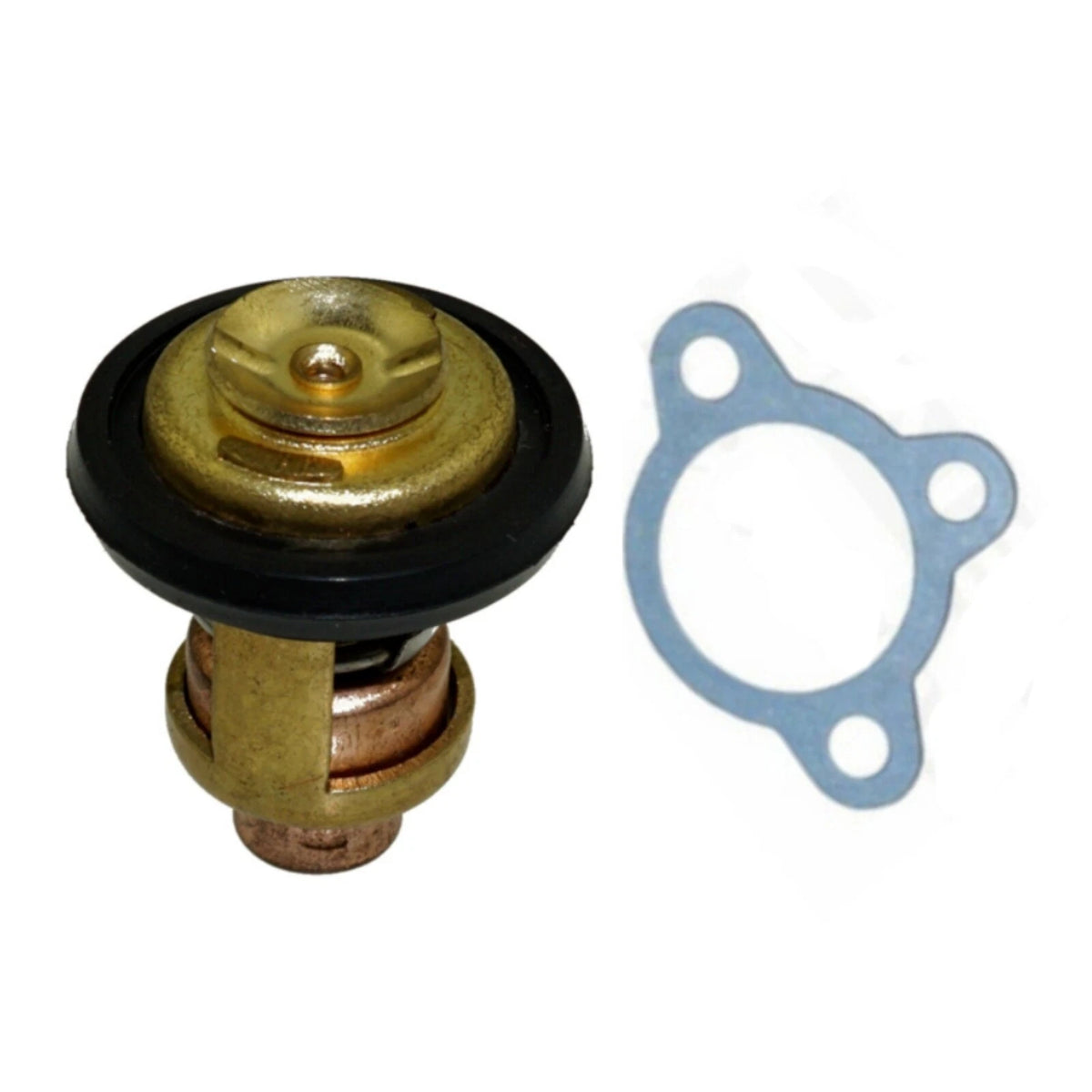 Thermostat Kit for Yamaha 4 Stroke F 6 8 9.9 HP Outboard Motor 66M-12411-01/0 0