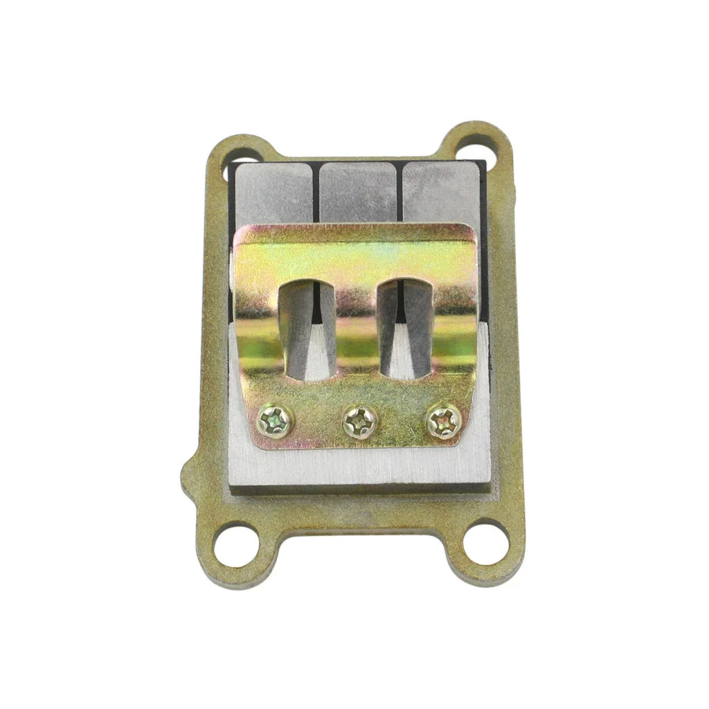 Reed Valve Assy for Yamaha 2 Stroke 4HP 5HP Outboard Motor (6E0-13610-00)