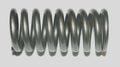 Exhaust Valve Spring for Yamaha 1000/1100 (WSM 010-033)