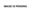 Starter Repair Kit for PH185-0010
