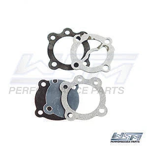 Fuel Pump Repair Kit for WSM 8-15 HP (600-125-07)