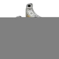 Clutch Weight Shoes w/Springs for Honda ACG110C Zoomer 110 (2016–2023) T9
