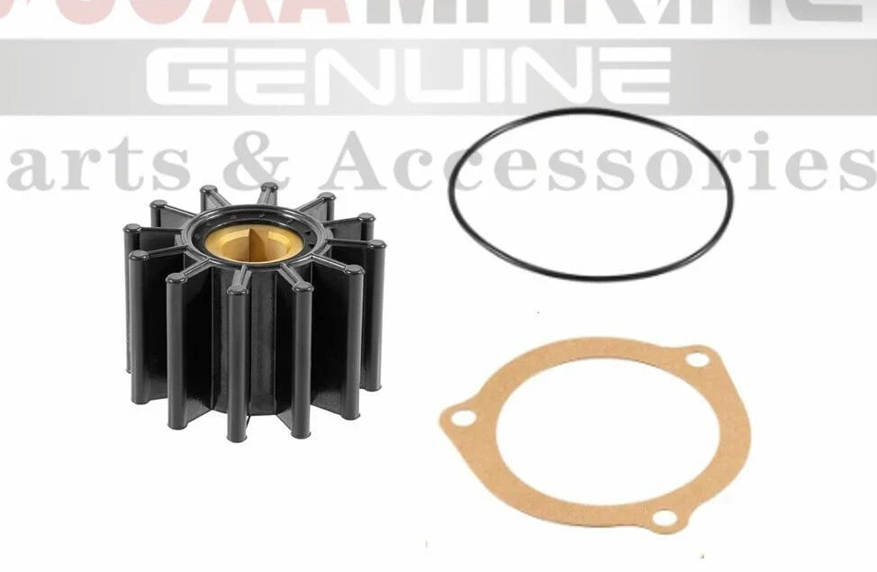 Minor Repair Kit for Sherwood Pump (23976, G1009, G4, G5, G7, G8, G46, G85, K90, M71)