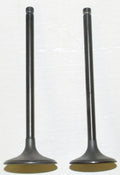 Engine Valve Kit for Honda TRX 650 ('03–'22) 017-027