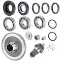 Rear Differential Pinion Ring Gear Bearings for Honda Recon TRX250 (2002–2023)