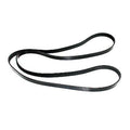 Serpentine & Alternator Belt for Volvo Penta (3817287)
