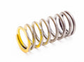 Inner Valve Spring for Sea Doo 4-Tec (420-838-280)