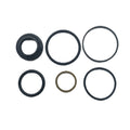 Seal Gasket Kit Power Trim Piston Volvo Penta DPS-A SX-A 3889955 Replaces 22172