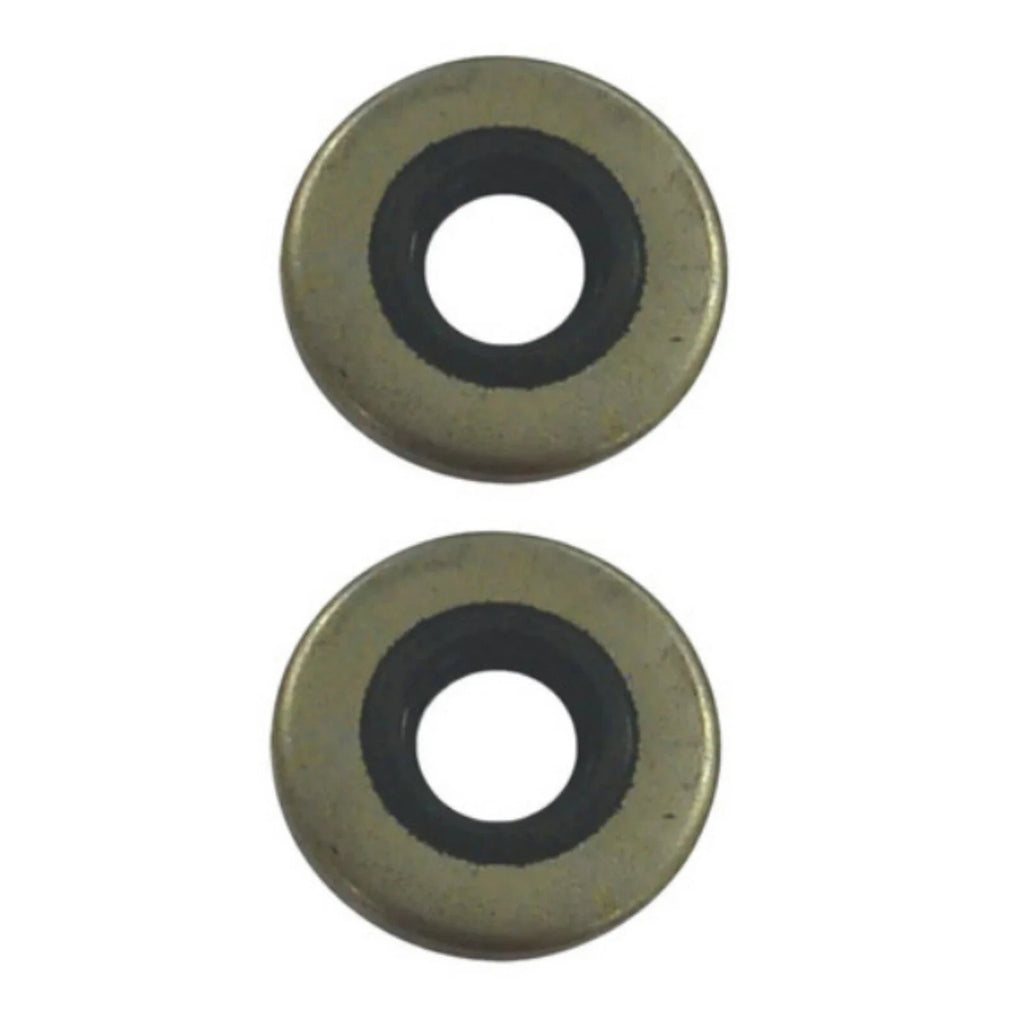 2Pcs Marine Oil Seal for Johnson/Evinrude (18-2028, 86170, 318973, 321480)
