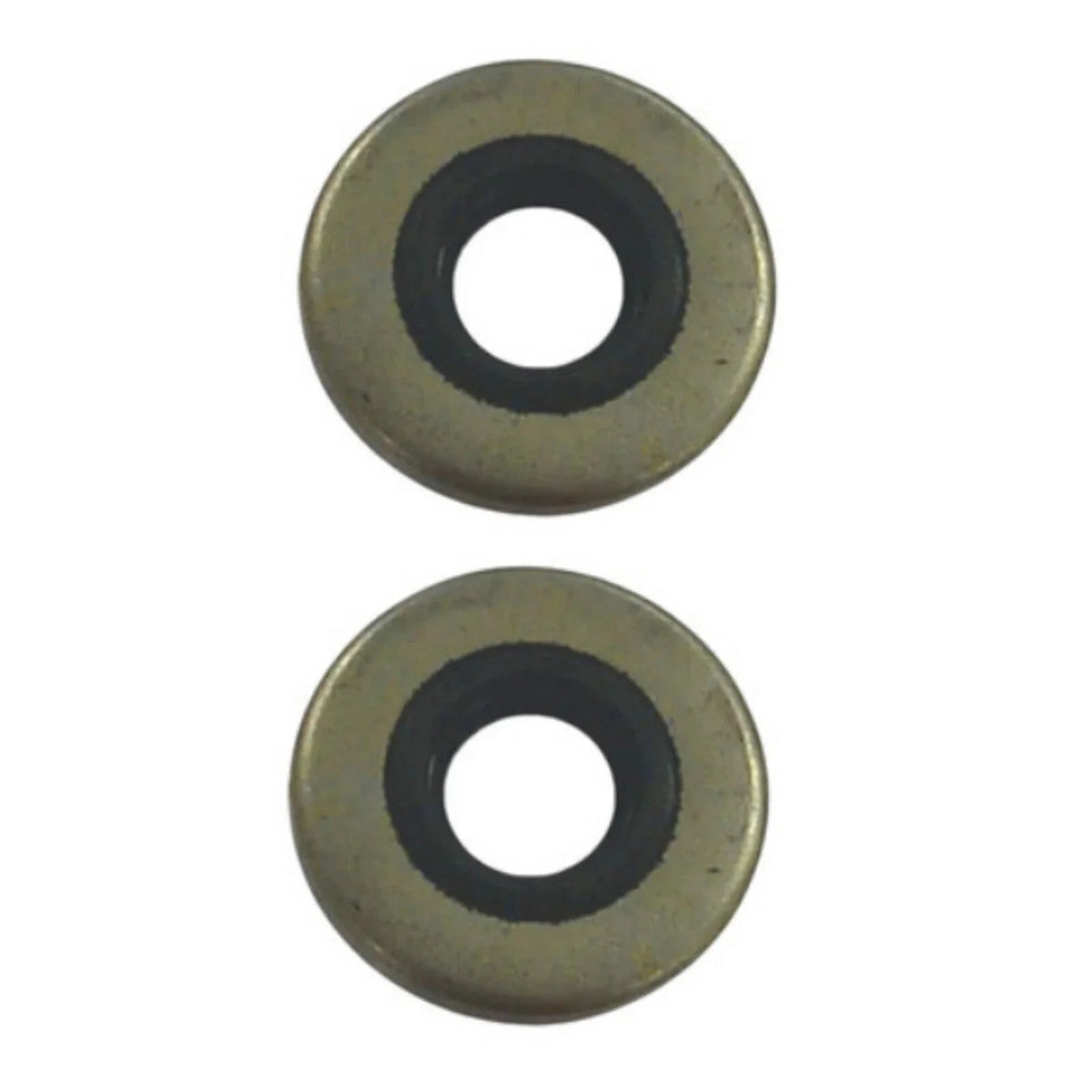 2Pcs Marine Oil Seal for Johnson/Evinrude (18-2028, 86170, 318973, 321480)