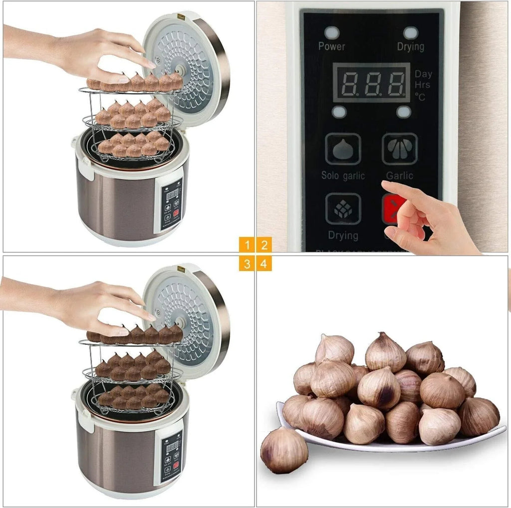 90W Black Garlic Fermenter with Automatic Temperature Control