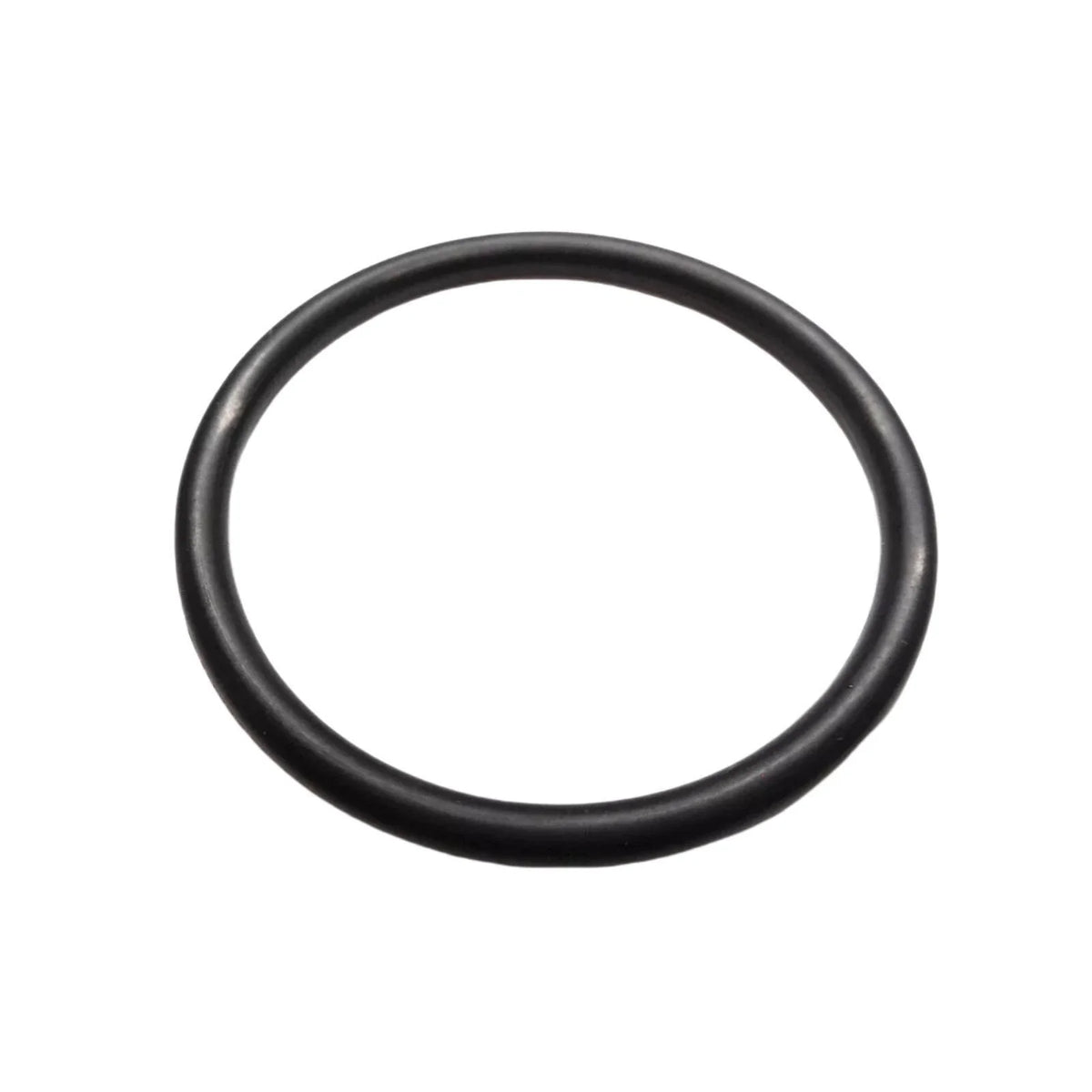 2X O-Ring for OMC (302588)
