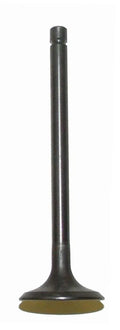 WSM Exhaust Valve for Yamaha 200-250 (1983–2009) 017-301-02