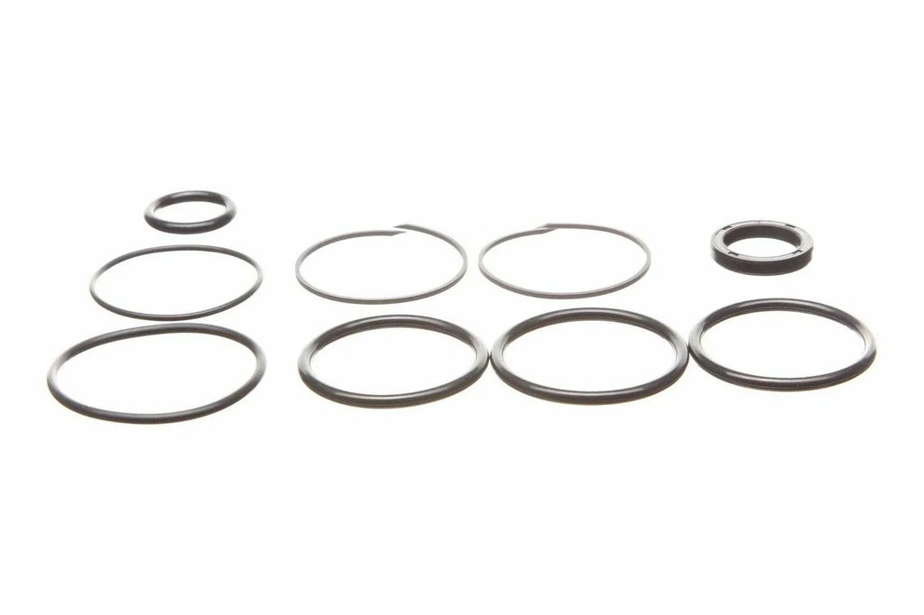 Replacement Seal Kit for OMC Cobra Tilt/Trim Cylinder 0985060, 3854247