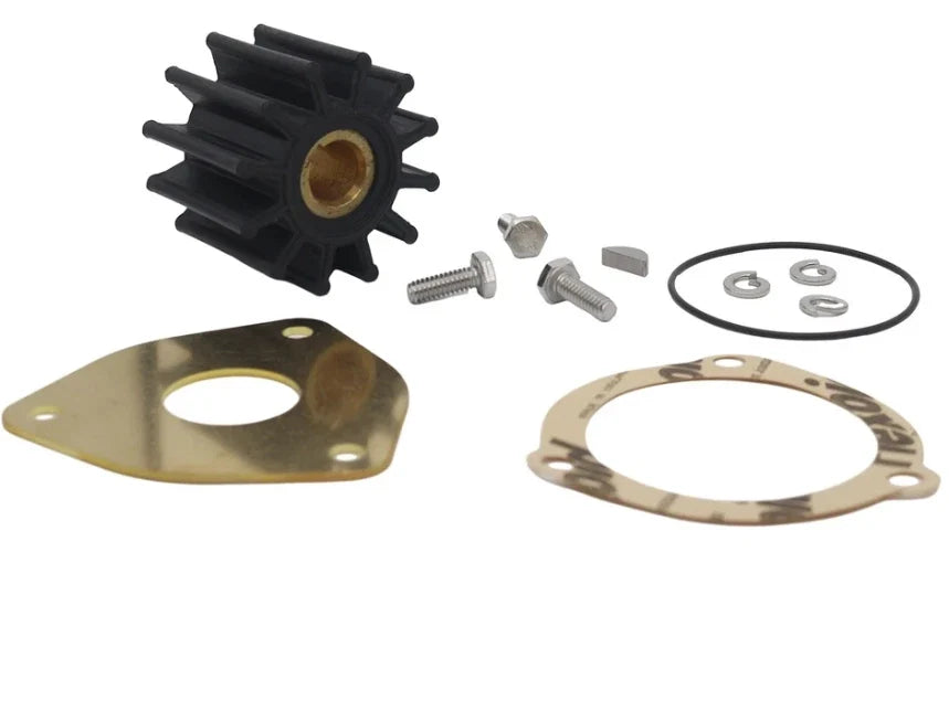 Sherwood Pump Minor Repair Kit 23981 for GC1 GC4 GC5 G151 G155 G157 (15000)