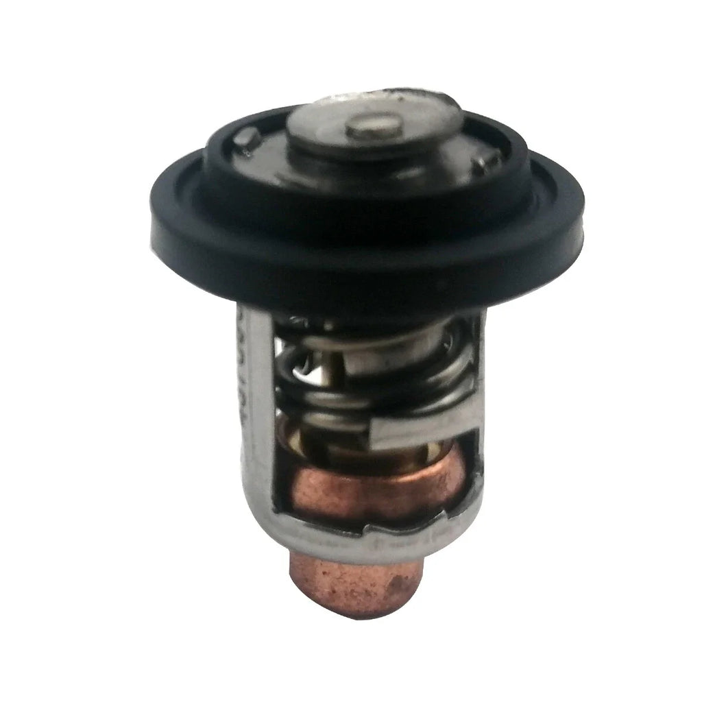 Thermostat for Johnson Evinrude 185HP 200HP 225HP Outboard Motors (N/A) 437090