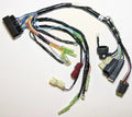 Wiring Harness Assembly for Johnson Evinrude 25HP-30HP (P/N: 5032180)
