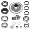 Rear Differential Rebuild w/ Gear Kit for Honda Recon 250 TRX250 (1997–2023)
