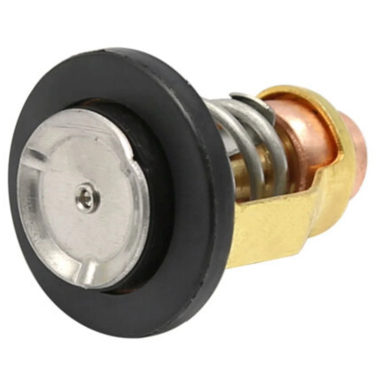 Thermostat for Yamaha Outboard Motor F75 F80 F90 F150 (67F-12411-01)