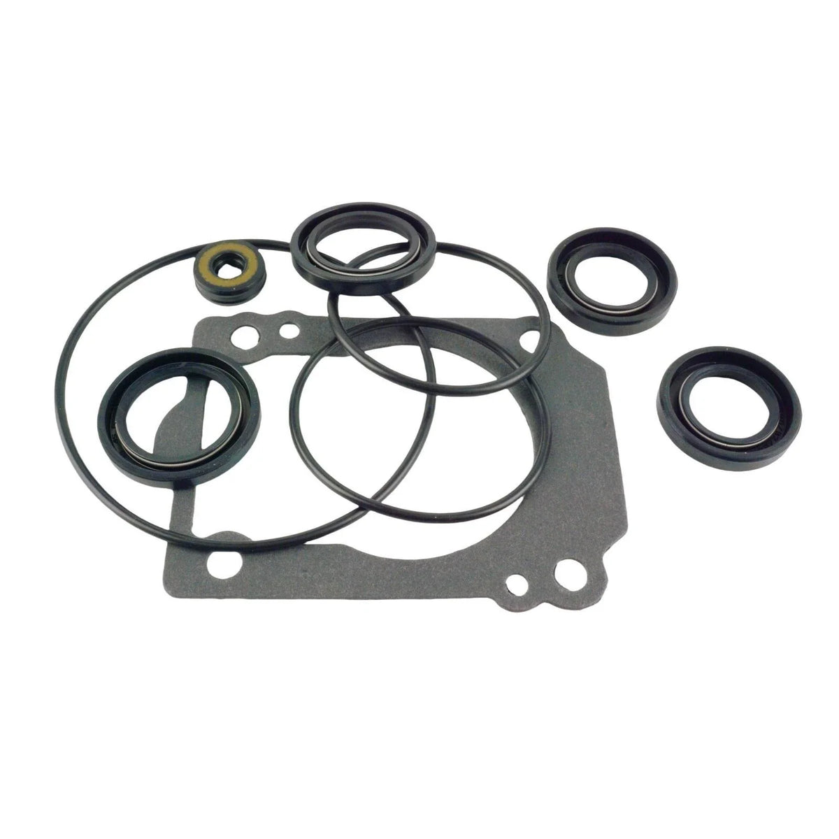 Seal Kit for Johnson/Evinrude J225 (2000–2006) 5035077 05035077 18-8380
