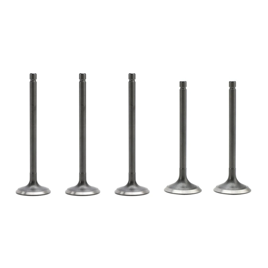 Intake & Exhaust Valves Kit for Yamaha Grizzly Raptor Rhino 660 (2001–2008)
