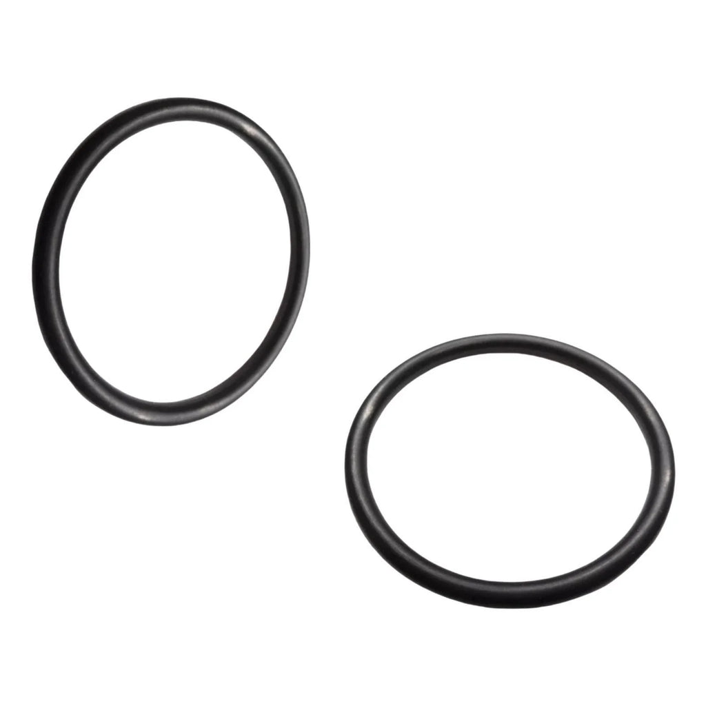 2X O-Ring for OMC (302588)