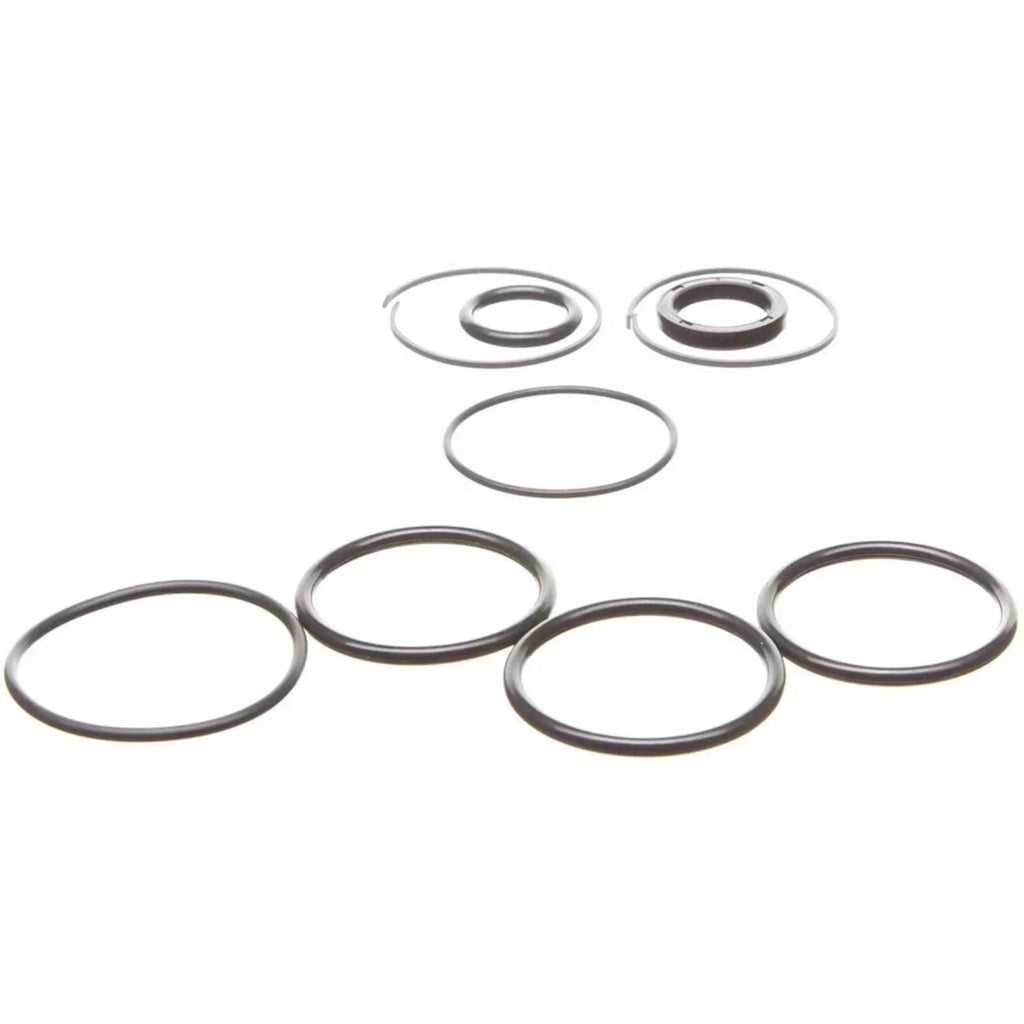 Replacement Seal Kit for OMC Cobra Tilt/Trim Cylinder 0985060, 3854247