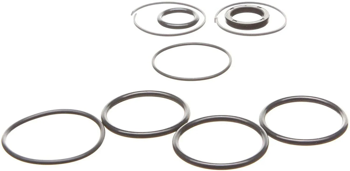 Replacement Seal Kit for OMC Cobra Tilt/Trim Cylinder 0985060, 3854247