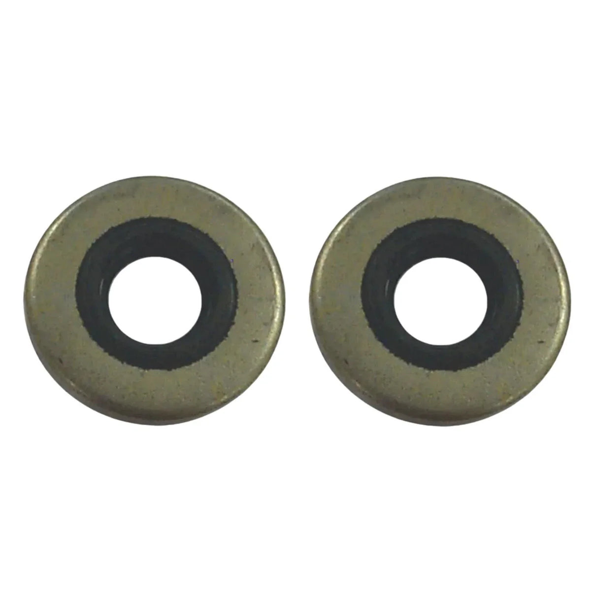 2Pcs Marine Oil Seal for Johnson/Evinrude (18-2028, 86170, 318973, 321480)