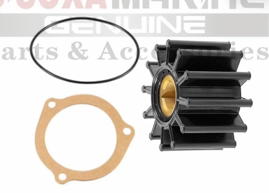 Minor Repair Kit for Sherwood Pump (23976, G1009, G4, G5, G7, G8, G46, G85, K90, M71)