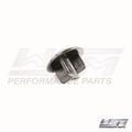 Poppet Valve for Yamaha 75-300 HP (WSM 785-200-01)