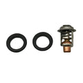 Thermostat Kit 895338 for Mercury Marine 30-40 HP (2-Stroke Outboard)