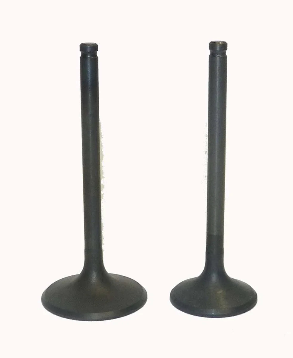 WSM Engine Valve Kit for Honda 350 TRX-FM/TM (2000–2006) - 017-029