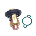 19300-881-761 Thermostat Kit for Honda Outboard Motor 4 Str BF5 to BF100 50-52C