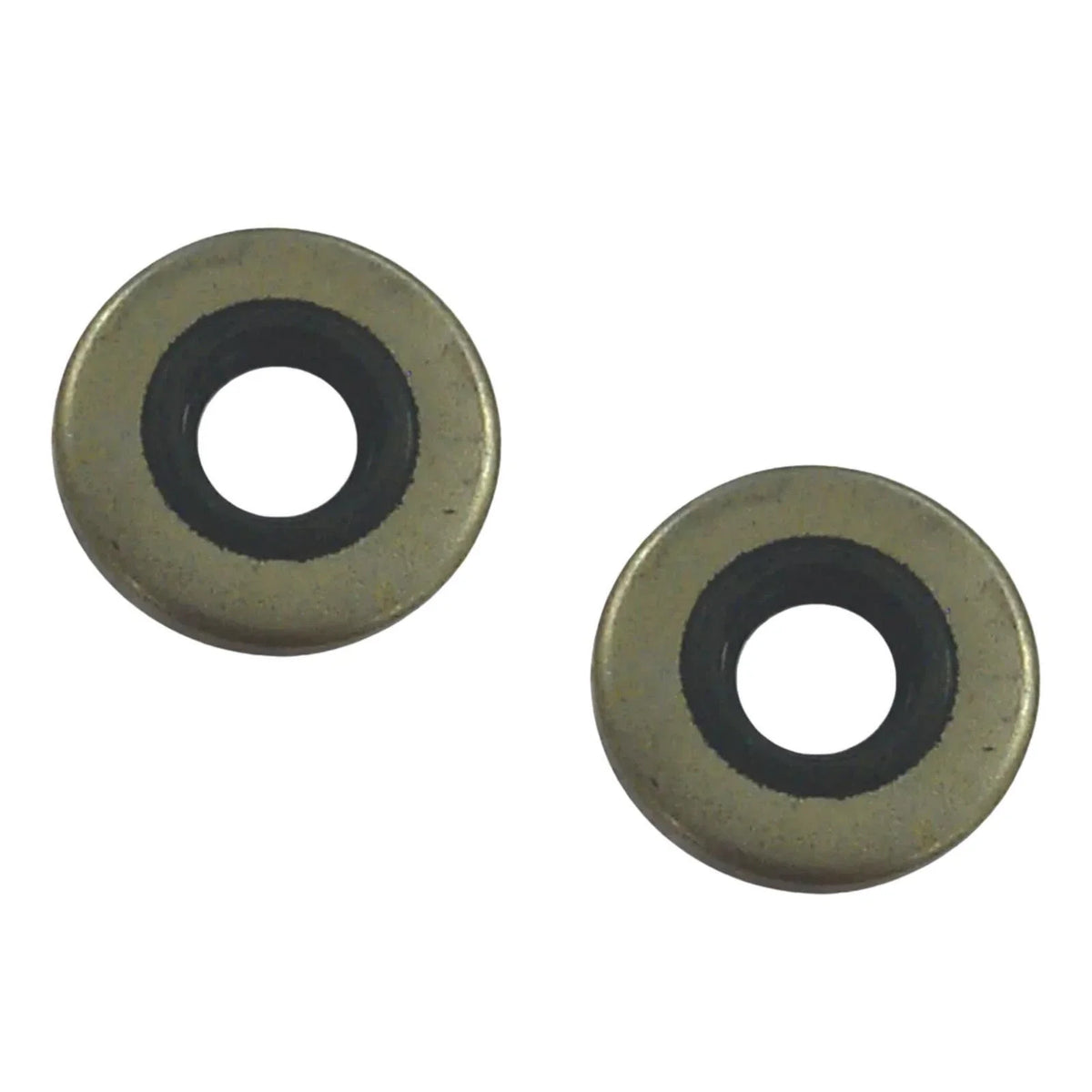 2Pcs Marine Oil Seal for Johnson/Evinrude (18-2028, 86170, 318973, 321480)