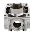 Cylinder Kit with Piston & Top End Gasket for EXC 300 XC XC-W 300 TPI (2019–2022)