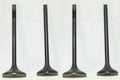 WSM Engine Valve Kit for Honda 350 ATC-X / TRX (1985–1989) - 017-018