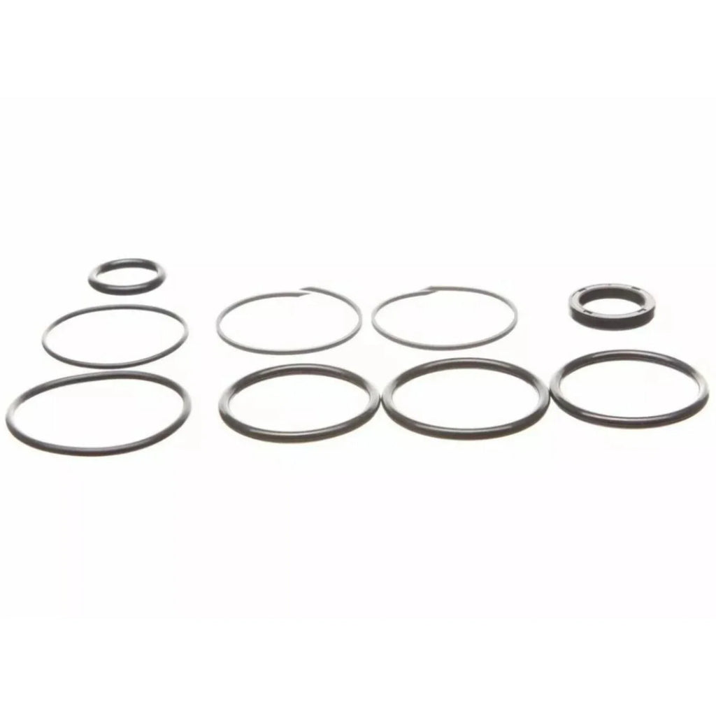 Replacement Seal Kit for OMC Cobra Tilt/Trim Cylinder 0985060, 3854247