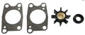 Outboard Water Pump Service Kit 06192-ZV1-C00 for Honda 4-6 HP (4-Stroke)