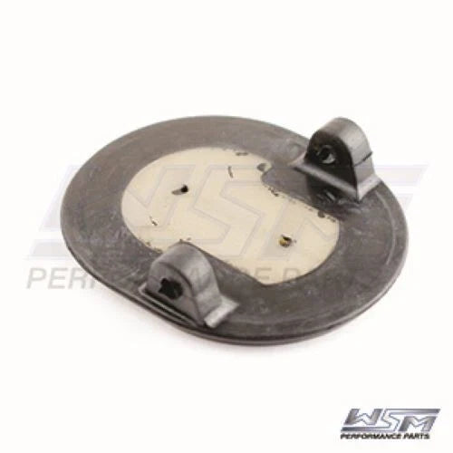 WSM Exhaust Flapper for OMC (575-125)