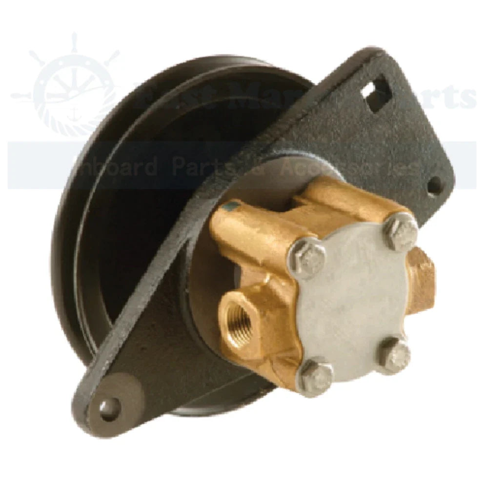 Raw Water Engine Cooling Pump for Sherwood (G8002, G-8002, G8002-01, GP8002, GP-8002)
