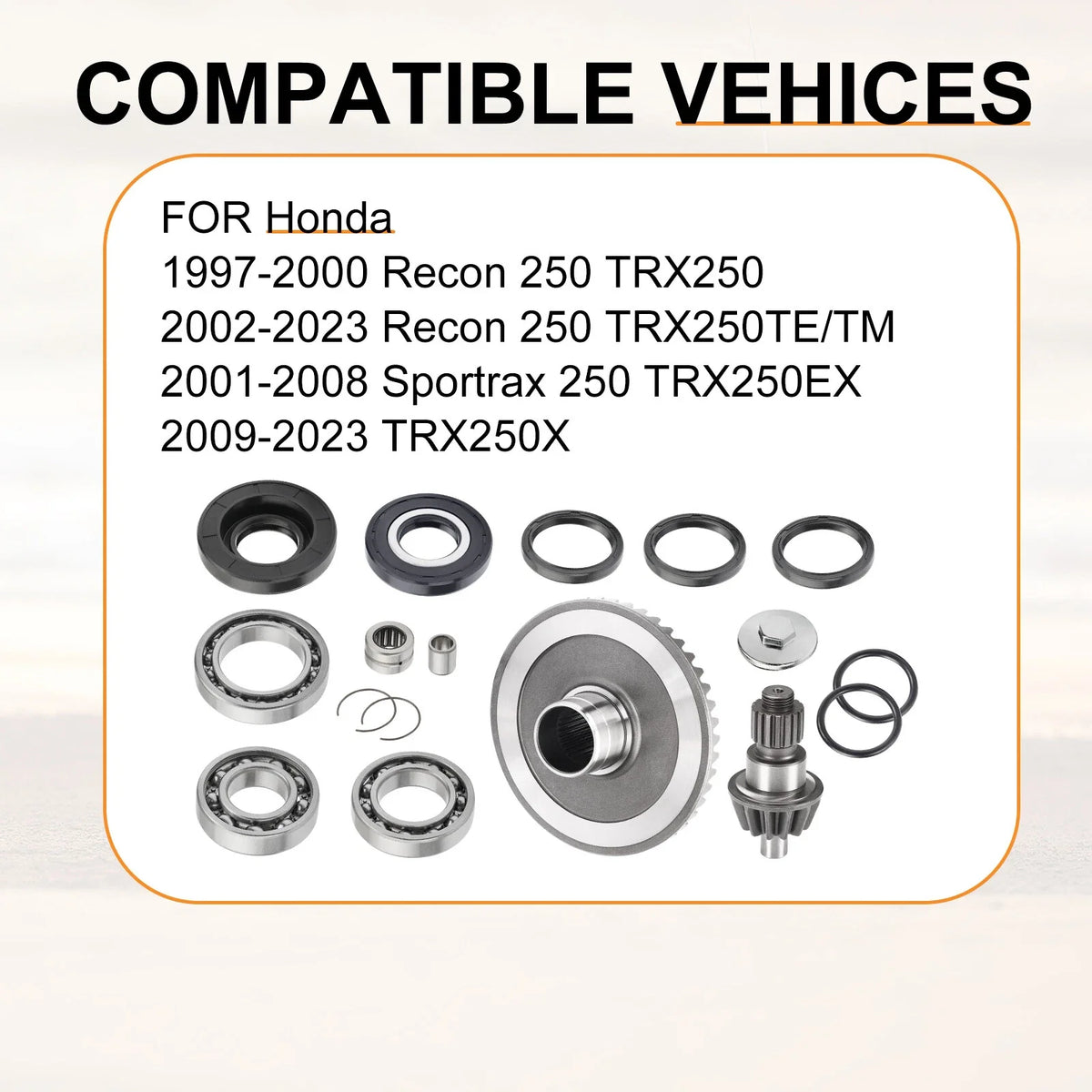 Rear Differential Rebuild w/ Gear Kit for Honda Recon 250 TRX250 (1997–2023)