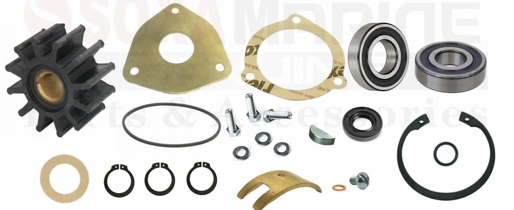 Major Pump Repair Kit for Sherwood G903 G908 (Universal) 42175 042175 302648 302837
