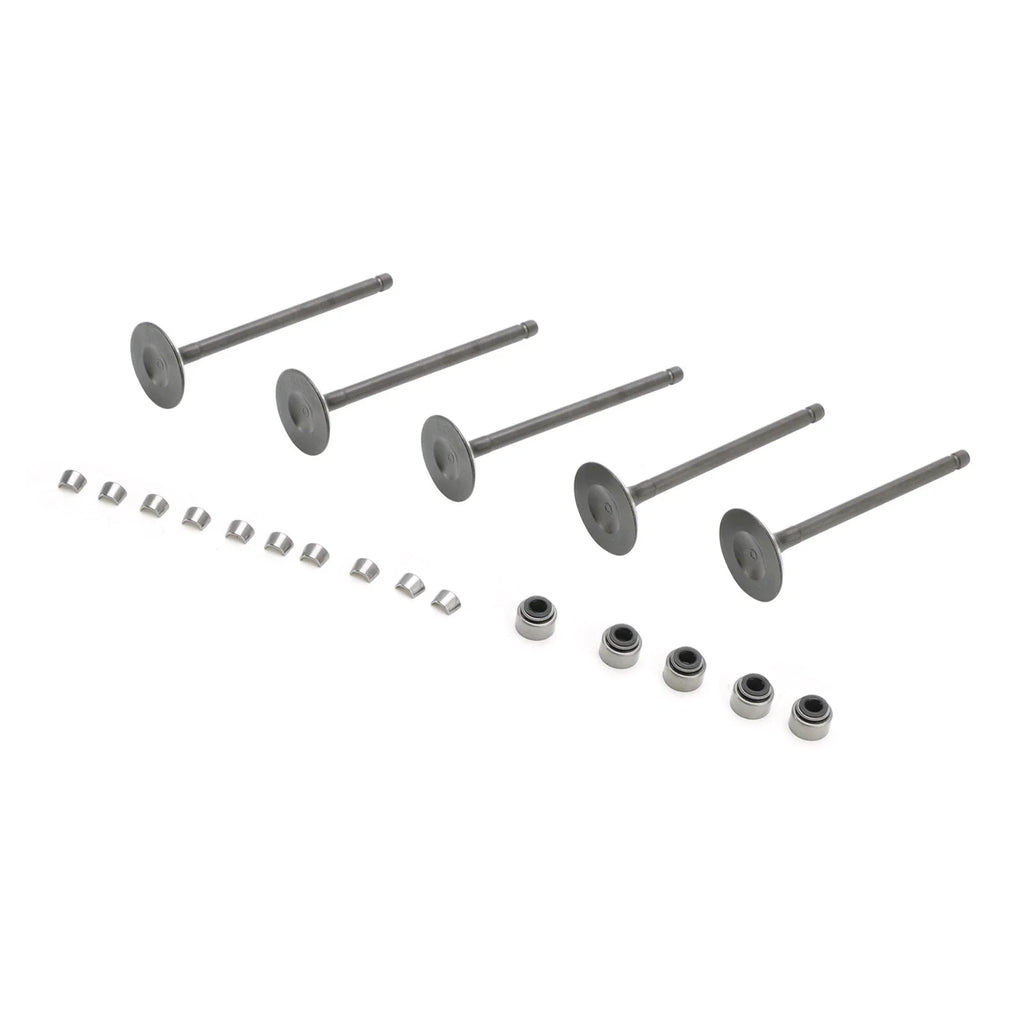 Intake & Exhaust Valves Kit for Yamaha Grizzly Raptor Rhino 660 (2001–2008)