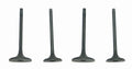 WSM Engine Valve Kit for Honda TRX450R (2004–2005) - 017-028