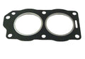 Cylinder Head Gasket for Johnson Evinrude OMC 9.9 15 HP Outboards (330818 320533)